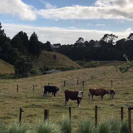 Pukeko Lodge Bnb New Plymouth Dış mekan fotoğraf