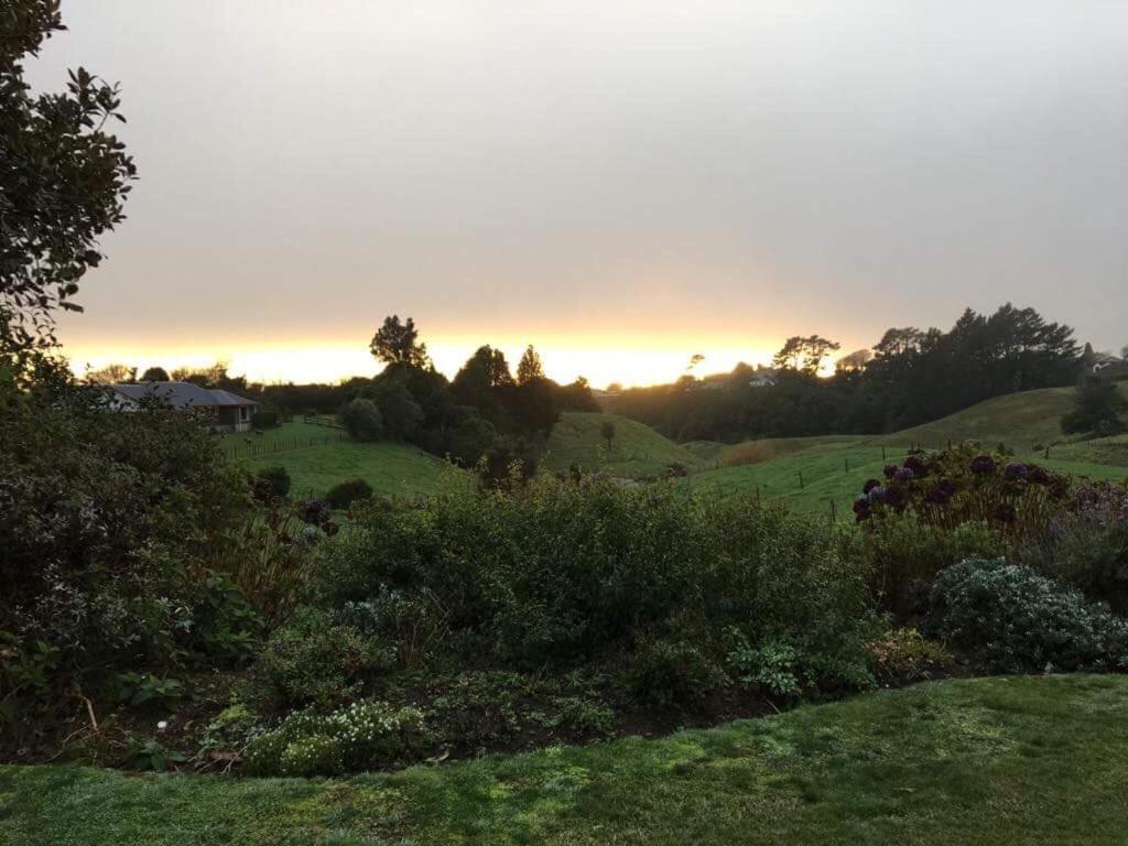 Pukeko Lodge Bnb New Plymouth Dış mekan fotoğraf