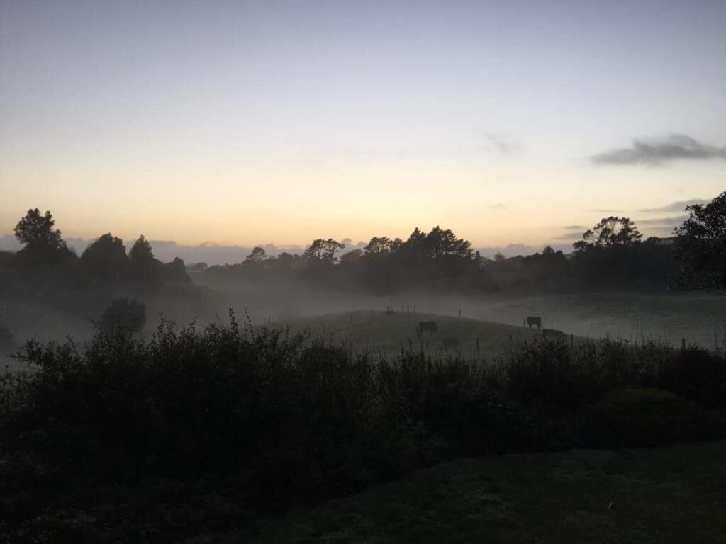 Pukeko Lodge Bnb New Plymouth Dış mekan fotoğraf