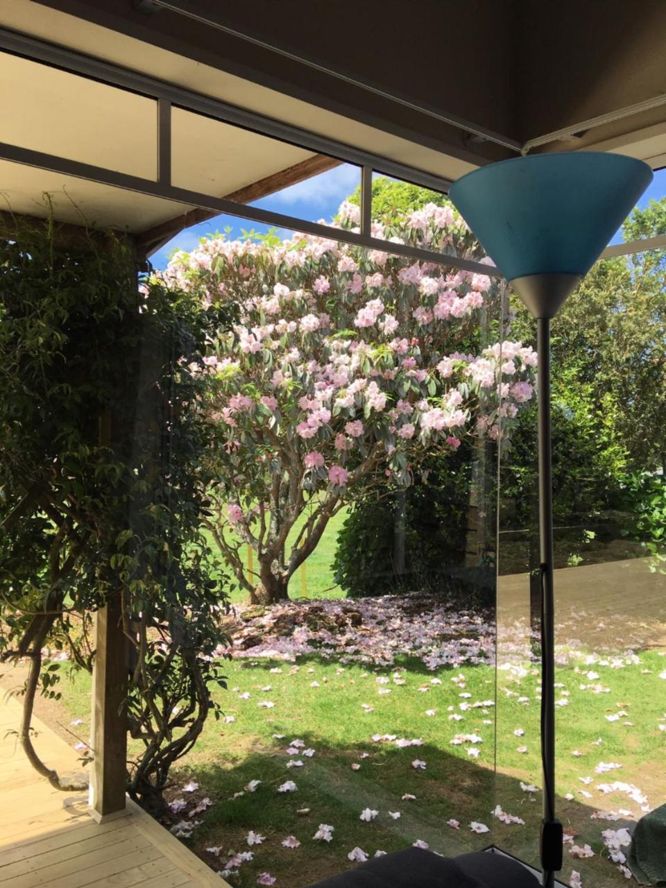 Pukeko Lodge Bnb New Plymouth Dış mekan fotoğraf
